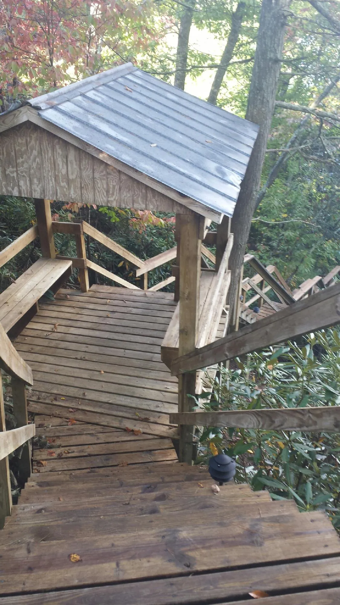 Metal roofed shelter over wooden steps on a wooded walkway — Skylight Repair & Installation work by our crew in Reevesville